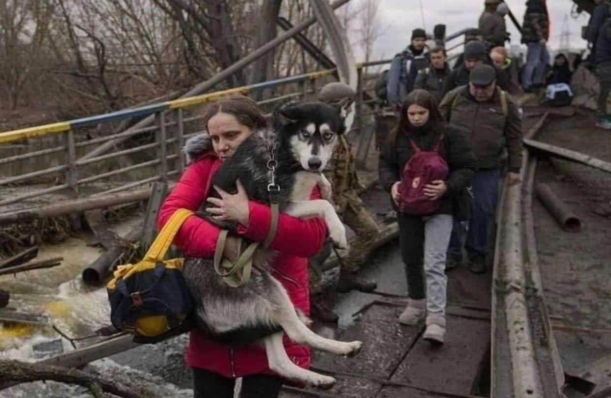 Refugiados ucranianos huyendo. Estos SI SON refugiados: mujeres, niños y ancianos, no como los criminales que nos invaden por el mar en pateras. 