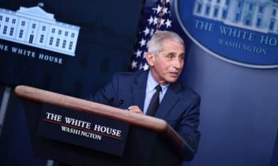 Anthony Fauci, en la mira de todos.